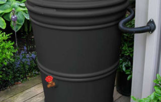 Rain Barrels