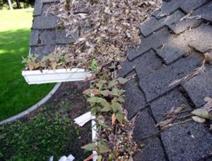 Gutter Cleaning