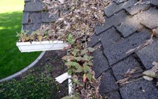 Gutter Cleaning