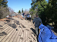 Roof Repairs